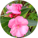 Alyssa G profile picture